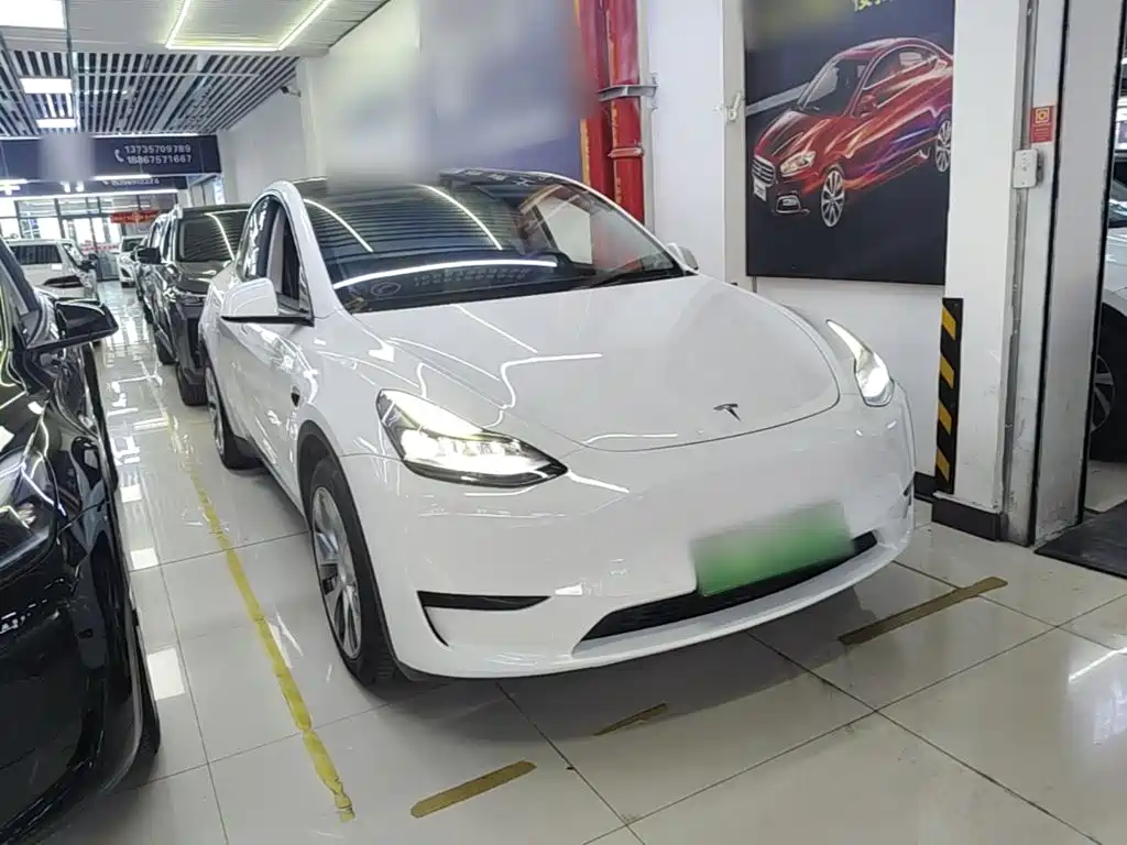Tesla Model Y — миниатюра 4