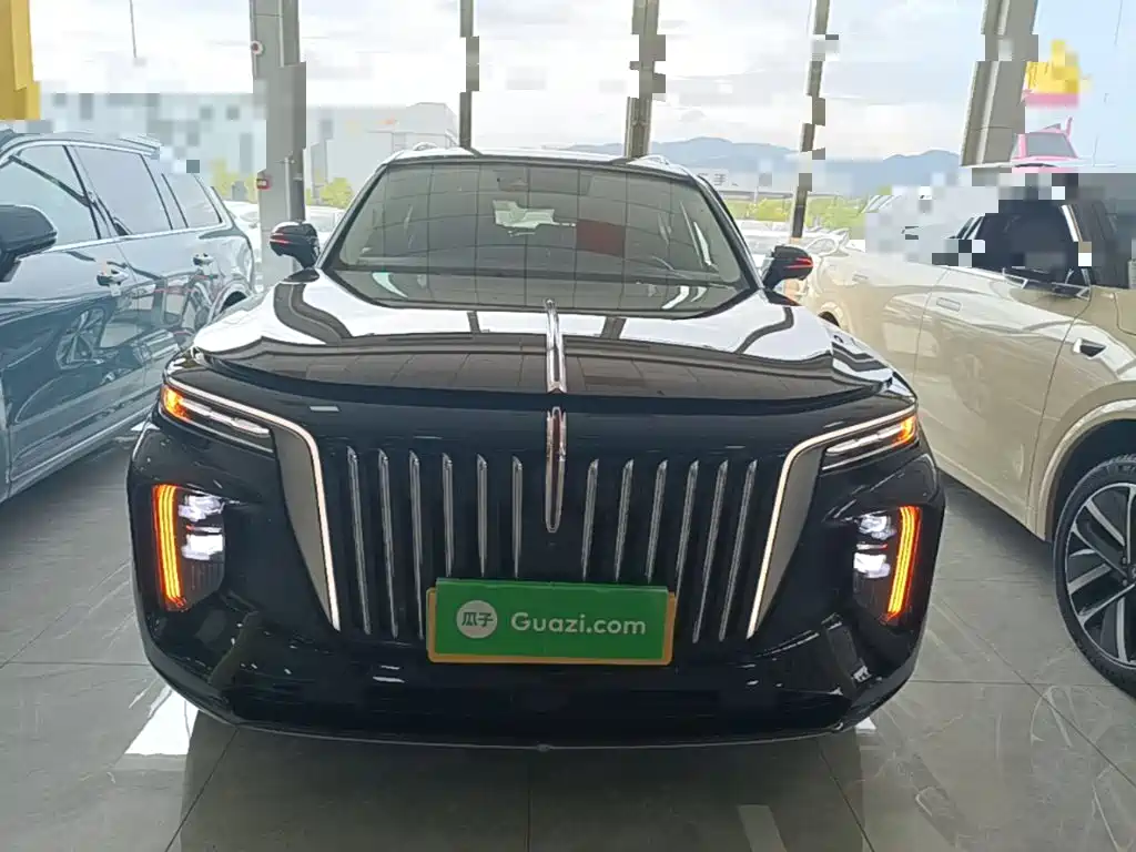 Hongqi Hongqi E-HS9 — миниатюра 3