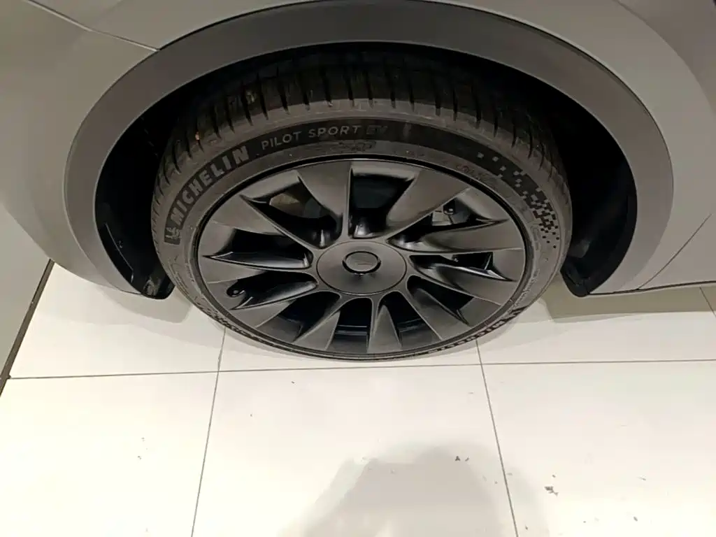 Tesla Model Y — миниатюра 23