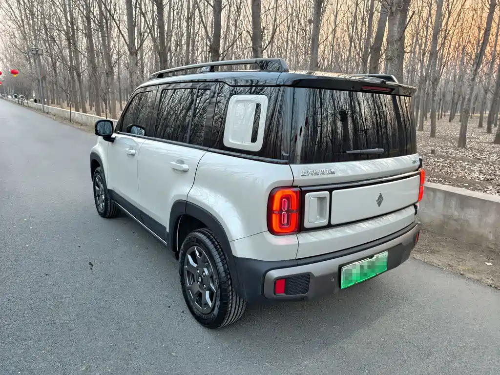 BAOJUN YUE ALSO PLUS