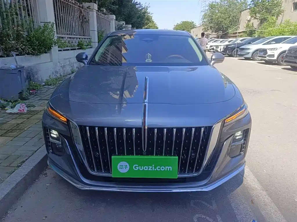 Hongqi H5 2024 2.0T AT