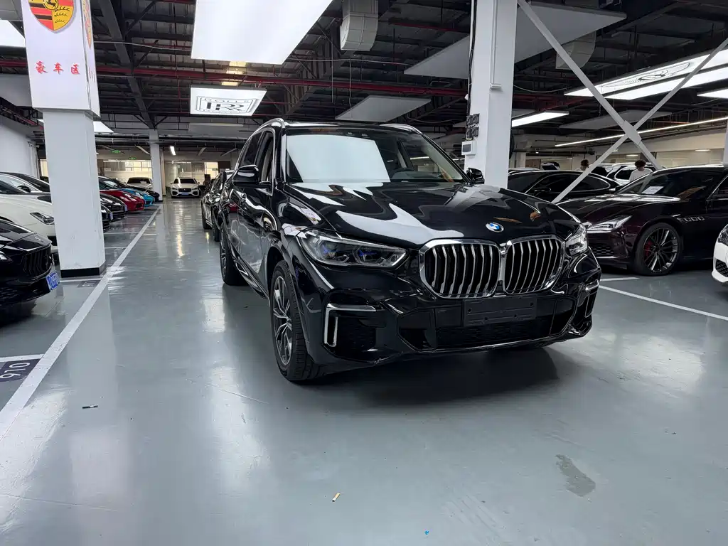 BMW X5 2022 xDrive 30Li Premium M Sport