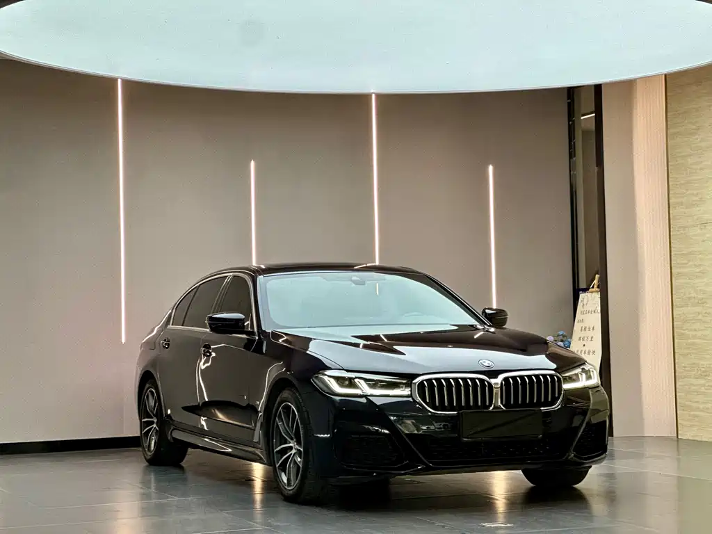 BMW 5 Series New Energy Facelift 535Le M Sport Package, фото 3