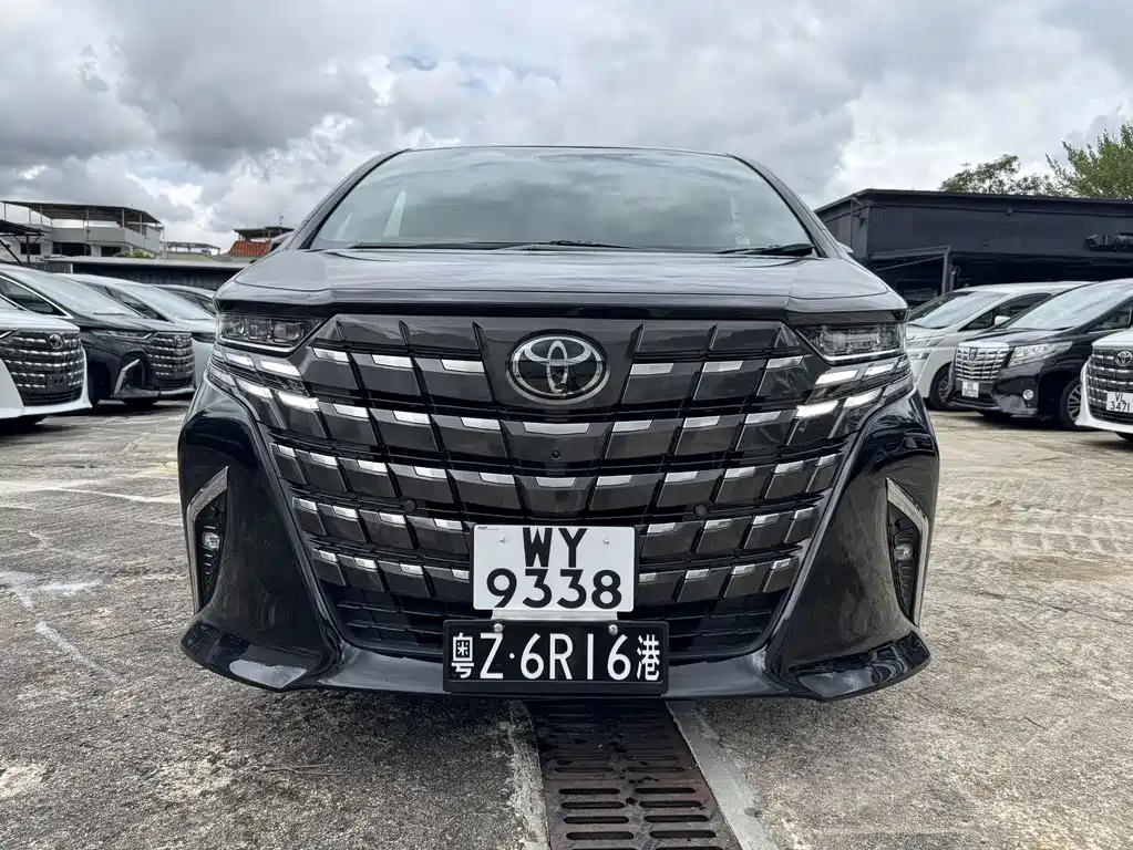 Toyota Alphard — миниатюра 2