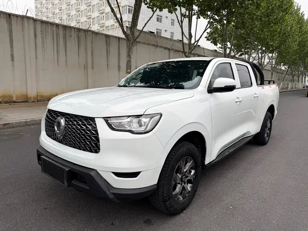 Great Wall Pao 2023