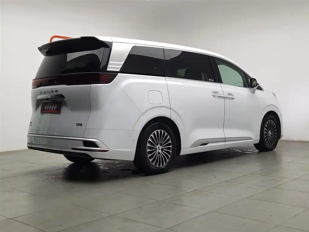 DENZA D9