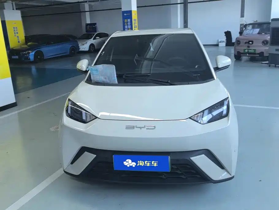 BYD Seagull