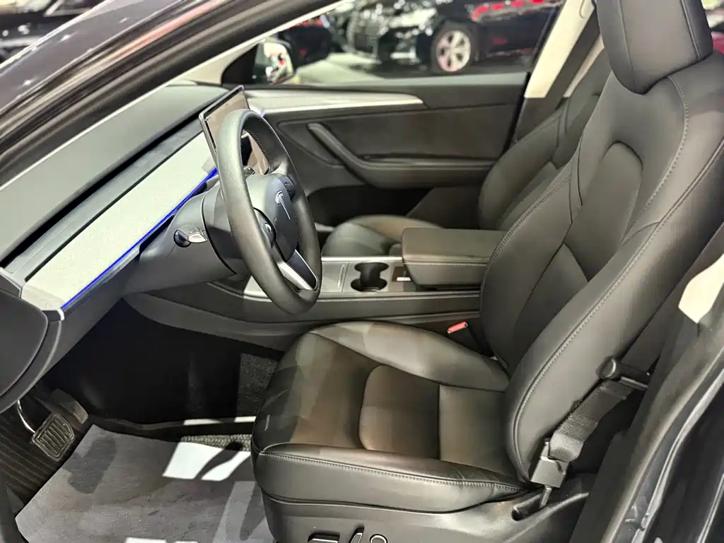 Tesla Model Y — миниатюра 7
