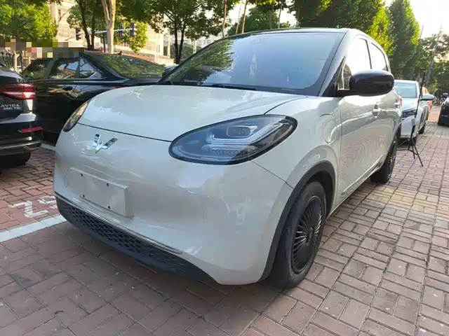 2023 Wuling Motors Binguo
