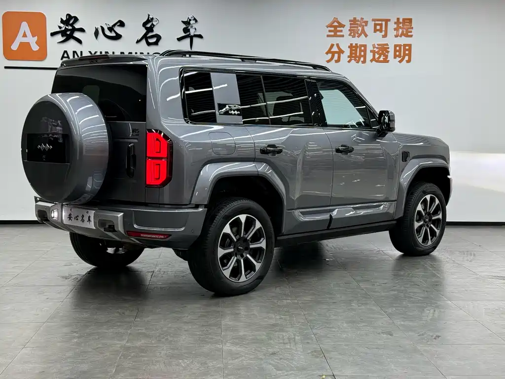 FANG CHENG BAO LEOPARD 5