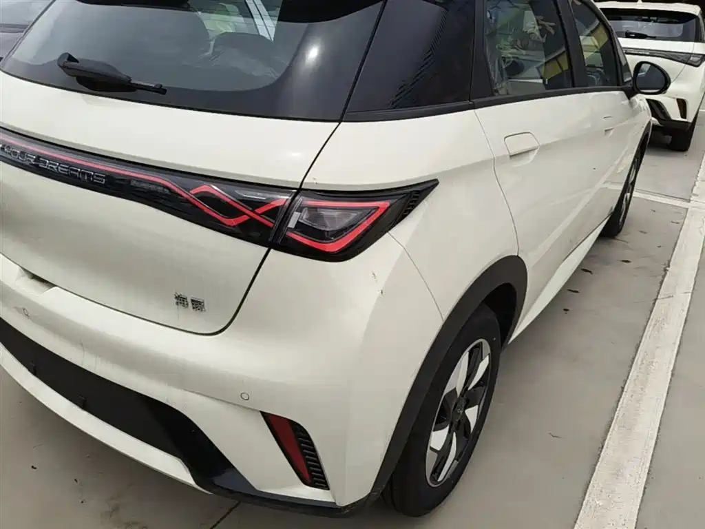 BYD Dolphin 2025 420km Freedom