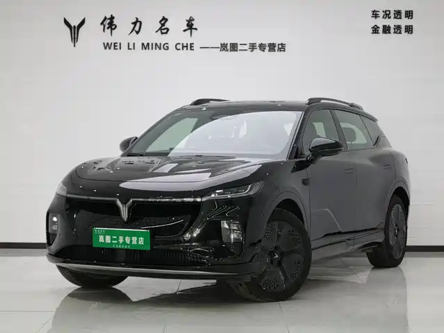 VOYAH LAN TU ZHIYIN 2024