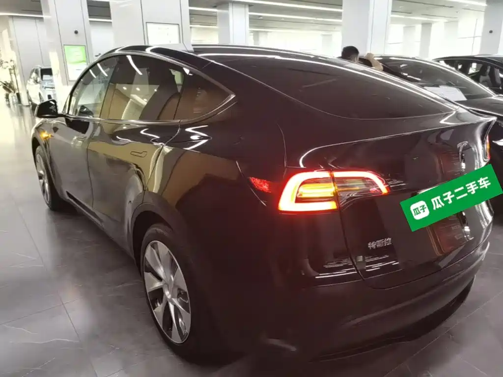 Tesla Model Y — миниатюра 5