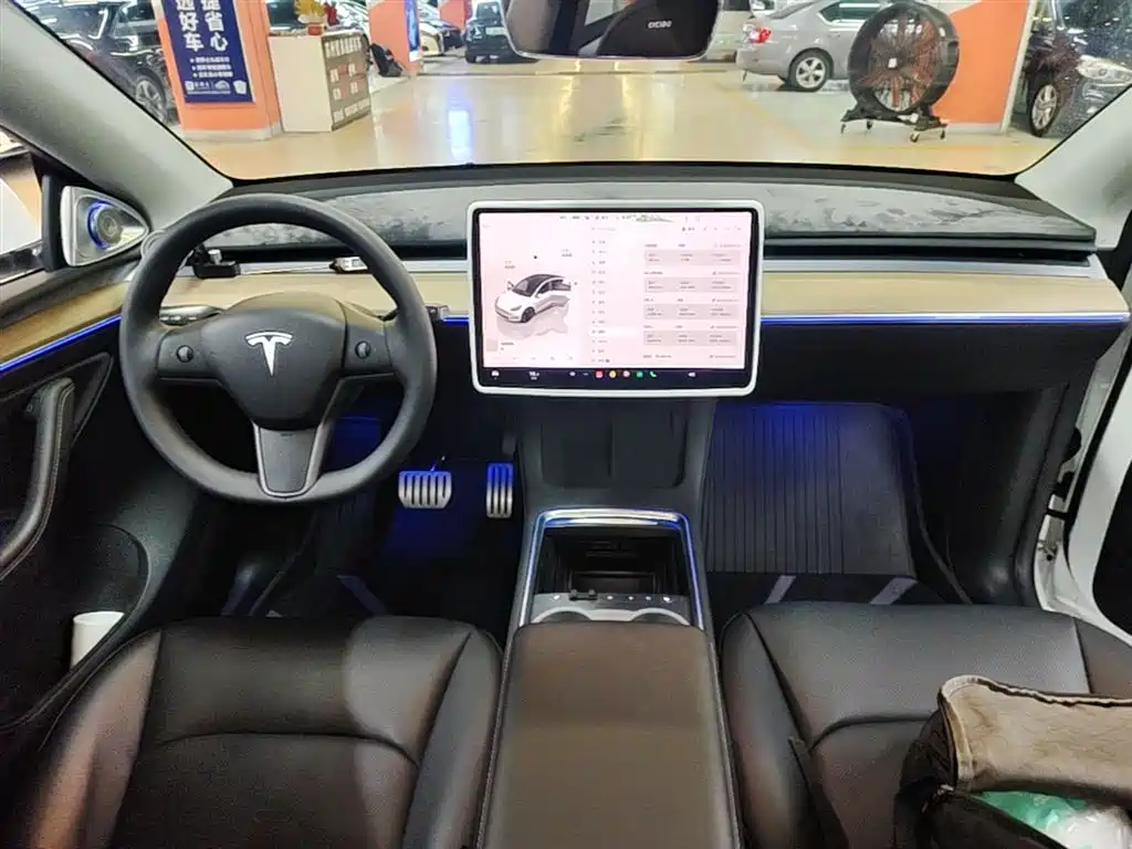 Tesla Model Y 2022 Performance