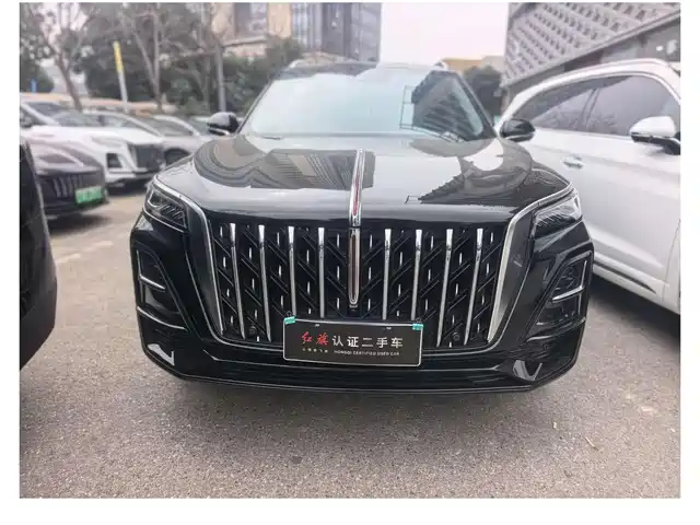 2024 Hongqi HS5