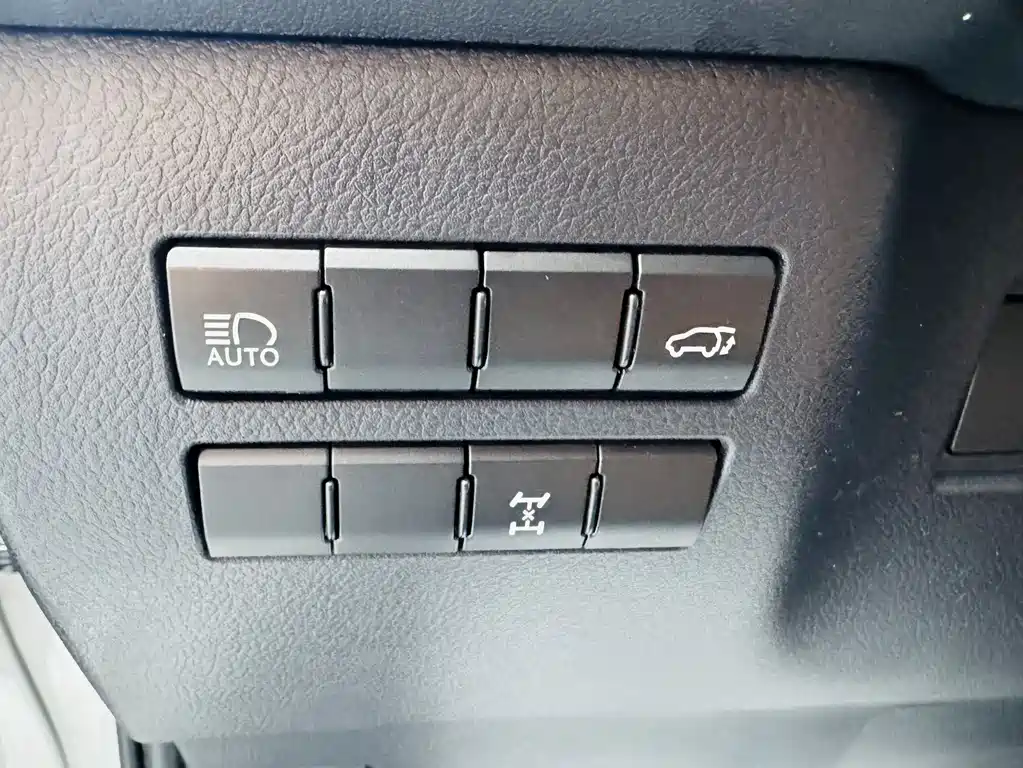 Lexus NX 2020 200 V