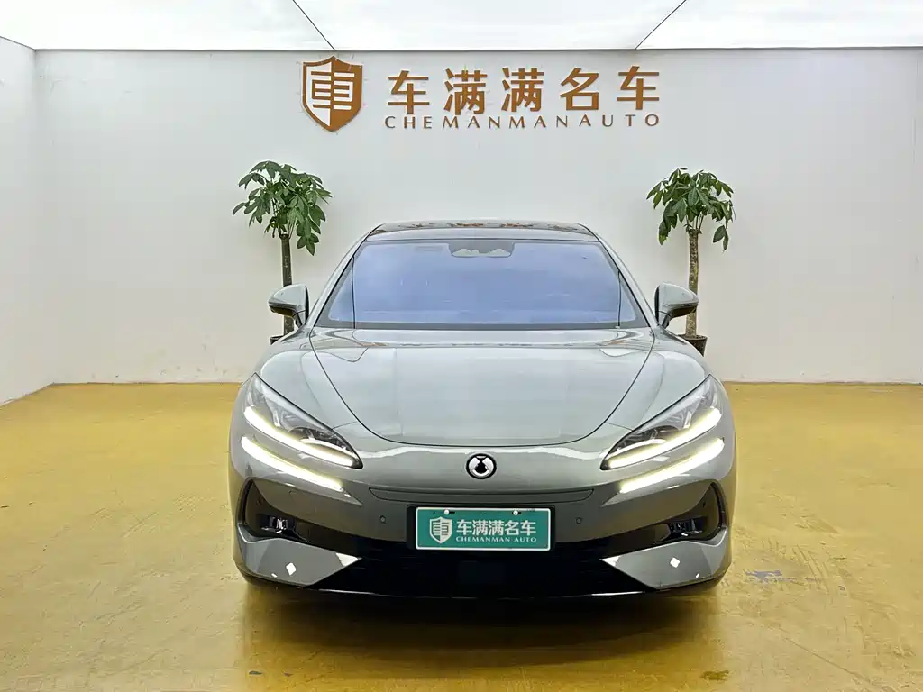 Denza Z9GT 2024 1100 Max