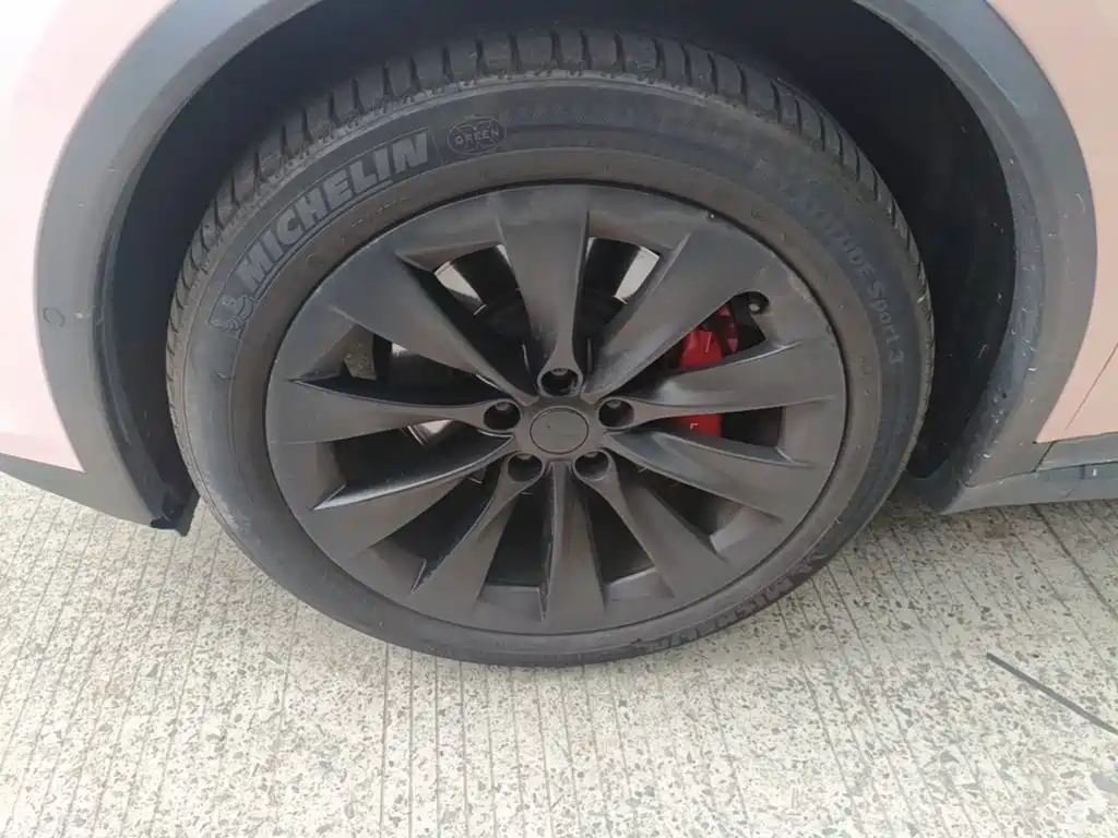 Tesla Model X — миниатюра 23