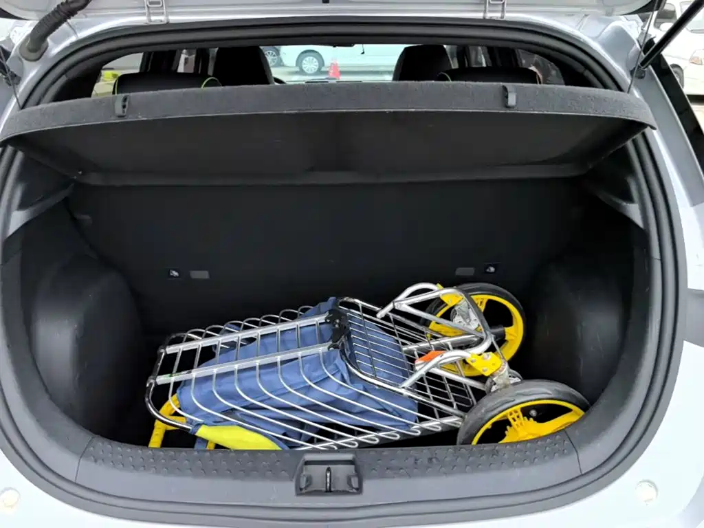 BYD Dolphin — миниатюра 19