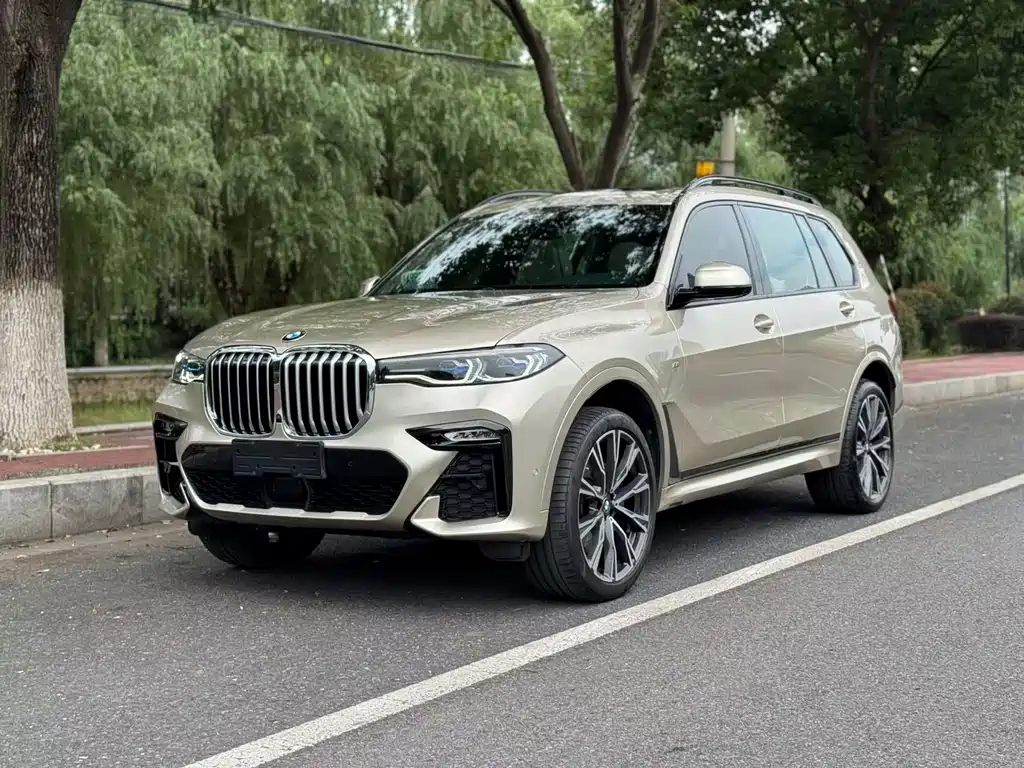 BMW X7 — миниатюра 2