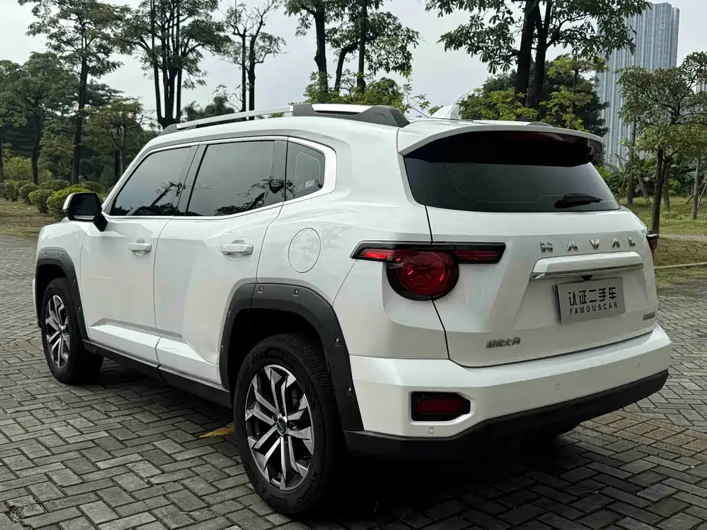 Haval Big Dog PLUS — миниатюра 24