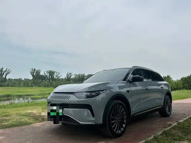 2025 Leapmotor C11