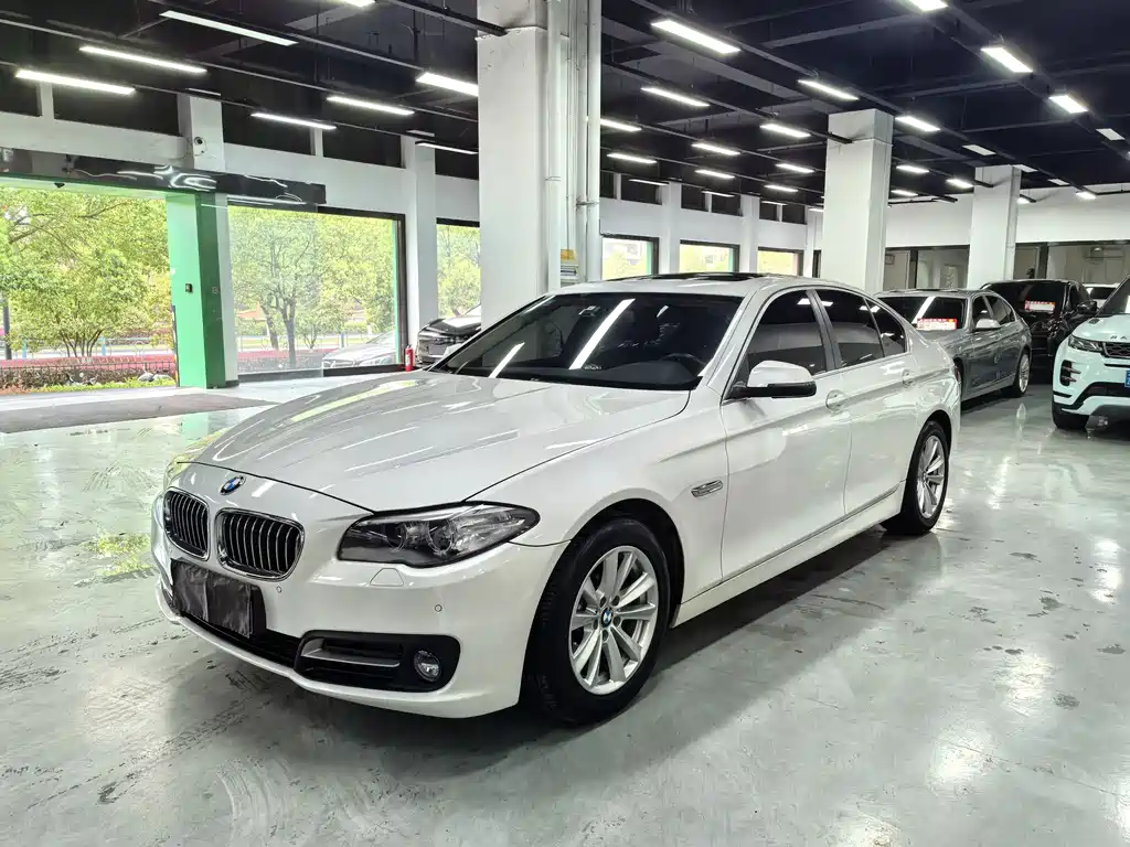 BMW 5 Series (Import) 2016