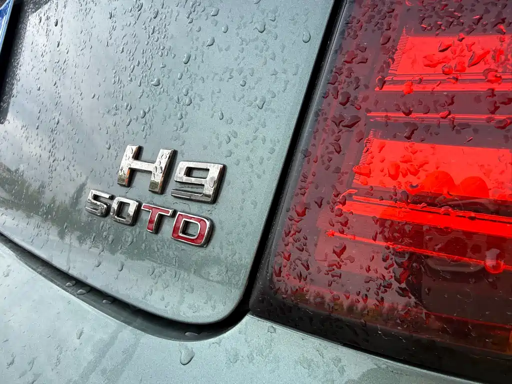 Hongqi H9 2024 3.0T