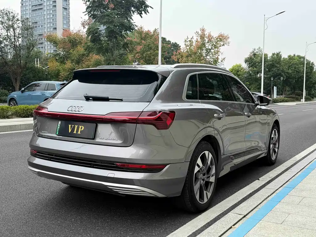 Audi e-tron (Import) — миниатюра 5