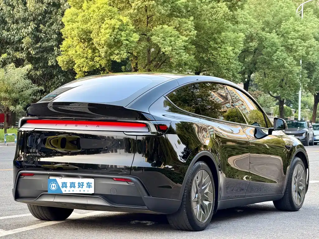 Tesla Model Y L — миниатюра 4