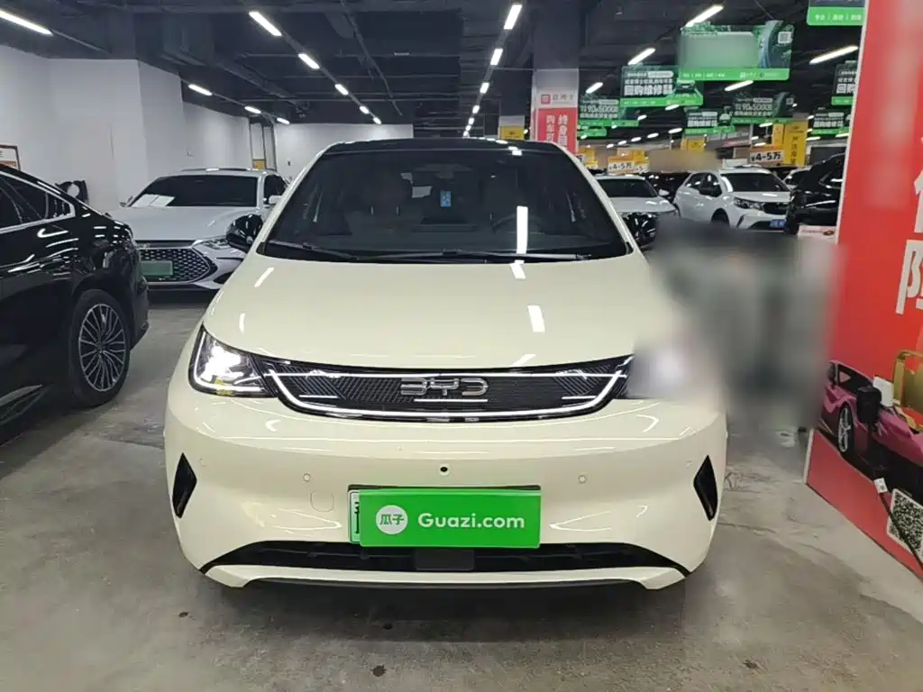BYD Dolphin — миниатюра 3