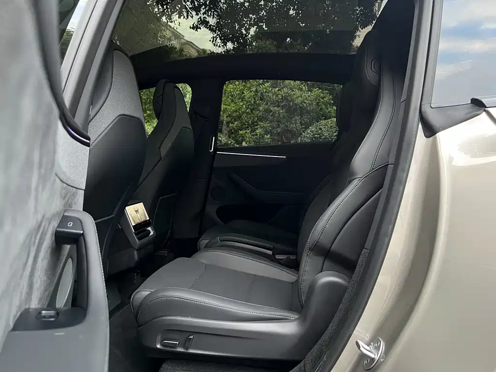 Tesla Model Y L — миниатюра 13
