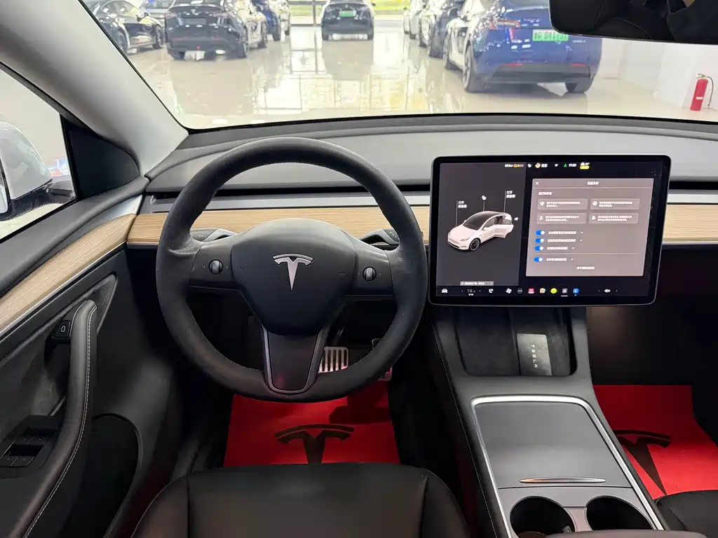 Tesla Model Y — миниатюра 6