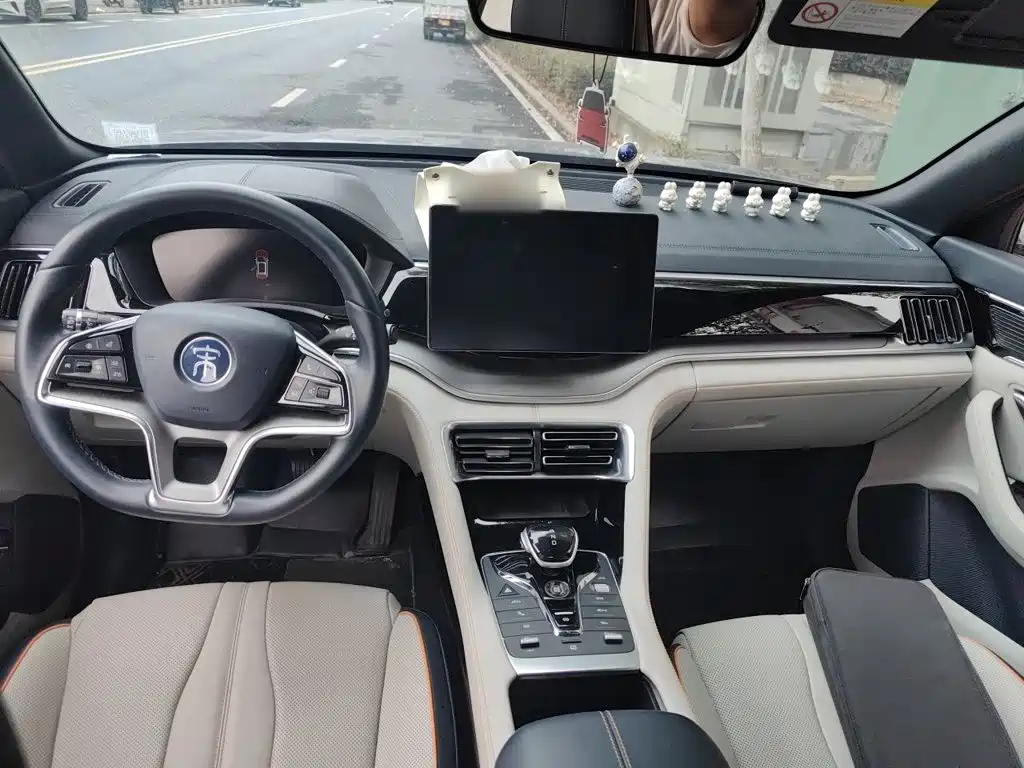 BYD PLUS New Energy — миниатюра 10