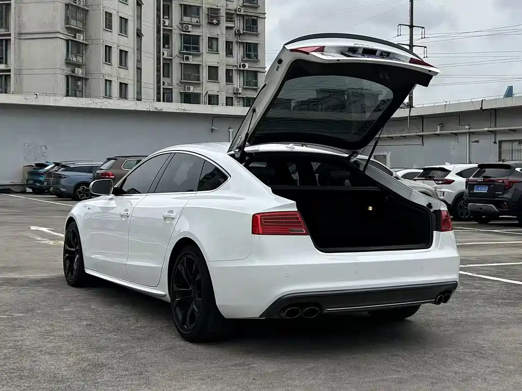 Audi S5 — миниатюра 17