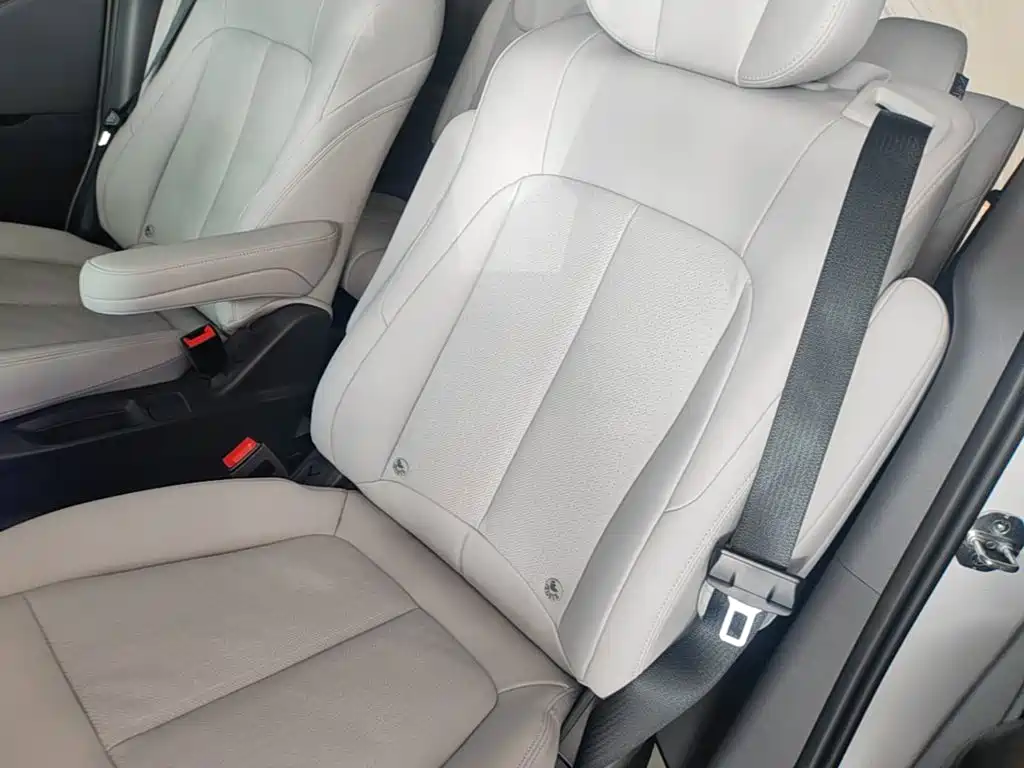 Buick GL8 — миниатюра 17