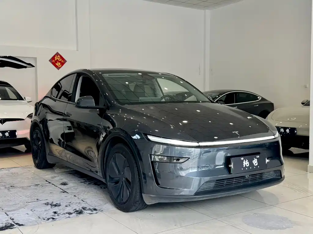 Tesla Model Y — миниатюра 3