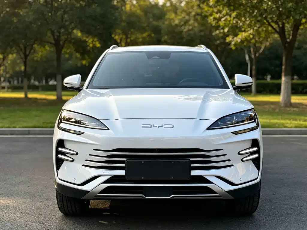 BYD PLUS New Energy — миниатюра 2