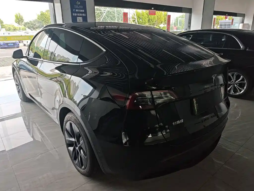 Tesla Model Y — миниатюра 5