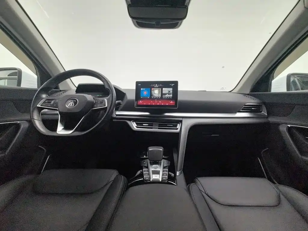 BYD Pro — миниатюра 5