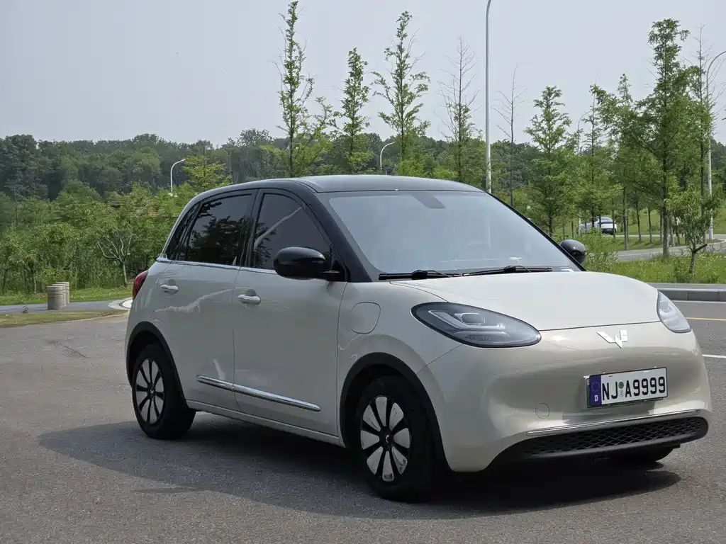 Wuling Binguo 2023 410km Premium