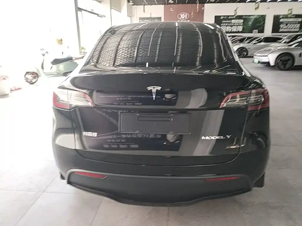 Tesla Model Y — миниатюра 6