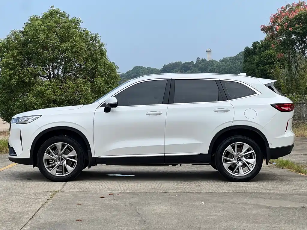 Haval H6 — миниатюра 16