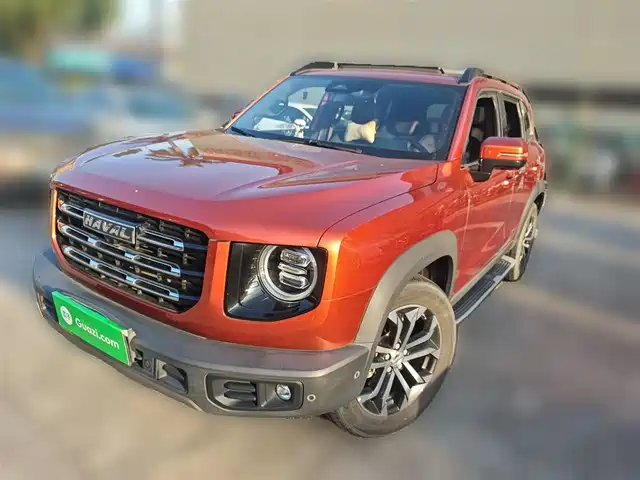 HAVAL BIG DOG