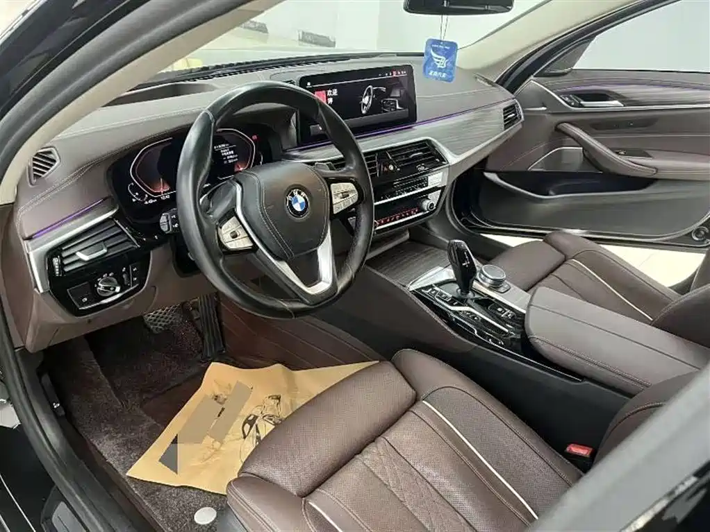 BMW 5 Series 5 2021 530Li Premium Luxury