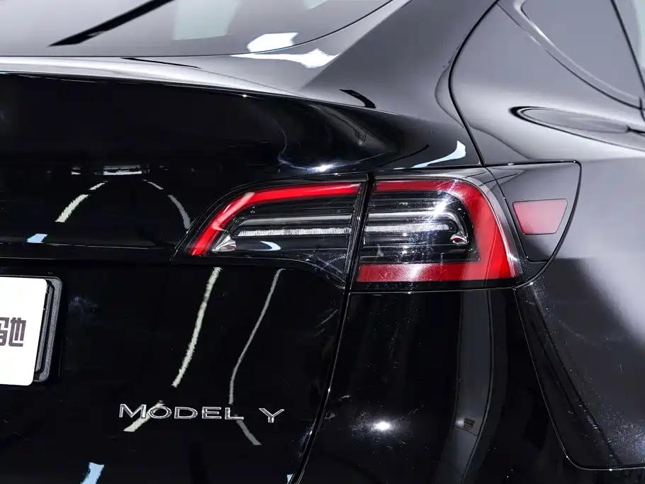 Tesla Model Y — миниатюра 11