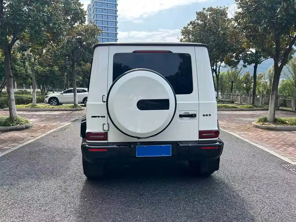 Mercedes-Benz G-Class AMG — миниатюра 8
