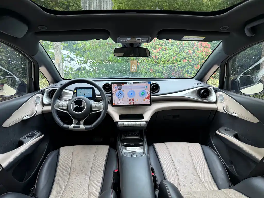 BYD Dolphin 2025 420km Fashion
