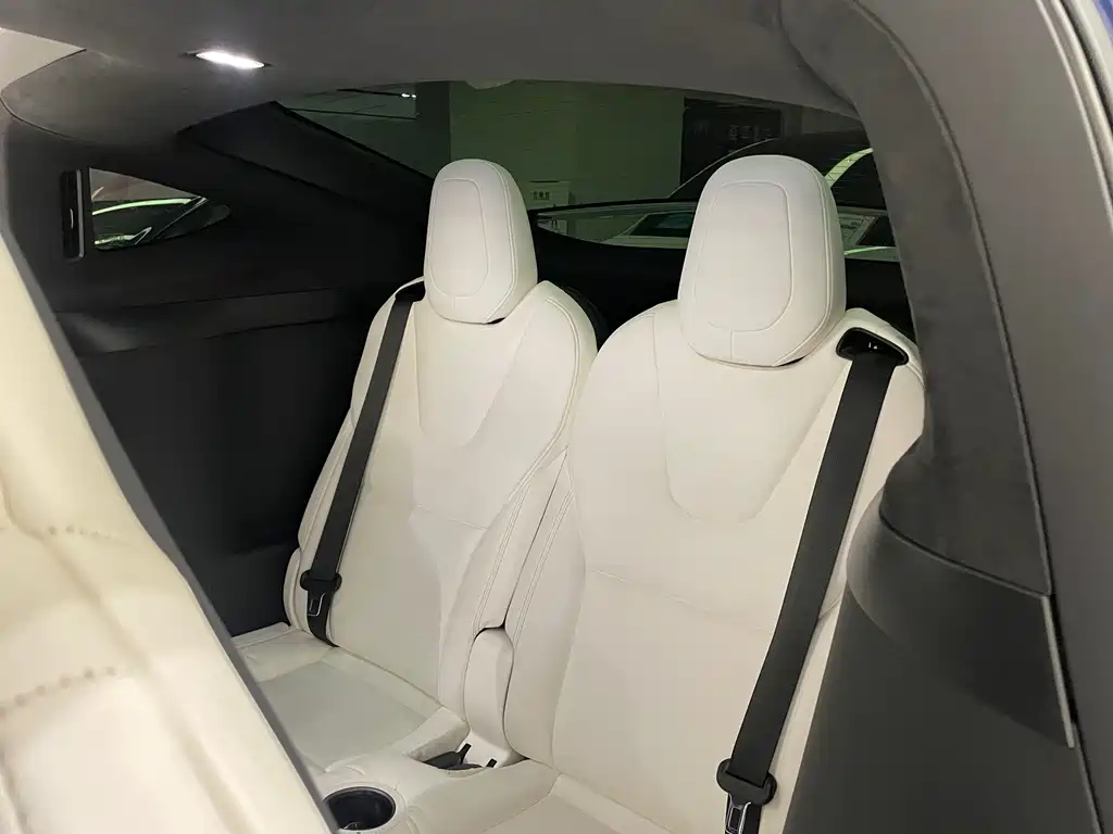Tesla Model X — миниатюра 7
