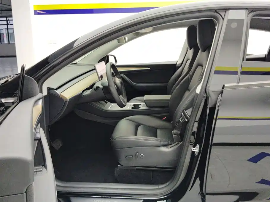 Tesla Model Y — миниатюра 9